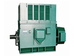 Y4501-4YR高压三相异步电机