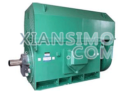 Y4501-4YXKK(2极)高效高压电机技术参数
